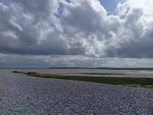 BAIE DE SOMME