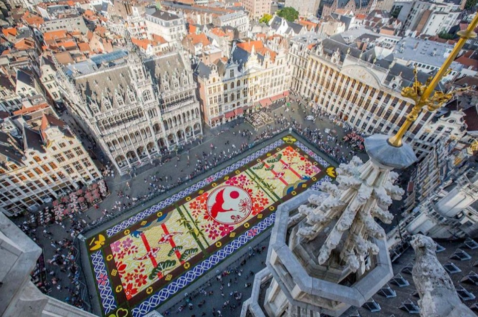 TAPIS DE FLEURS BRUXELLES