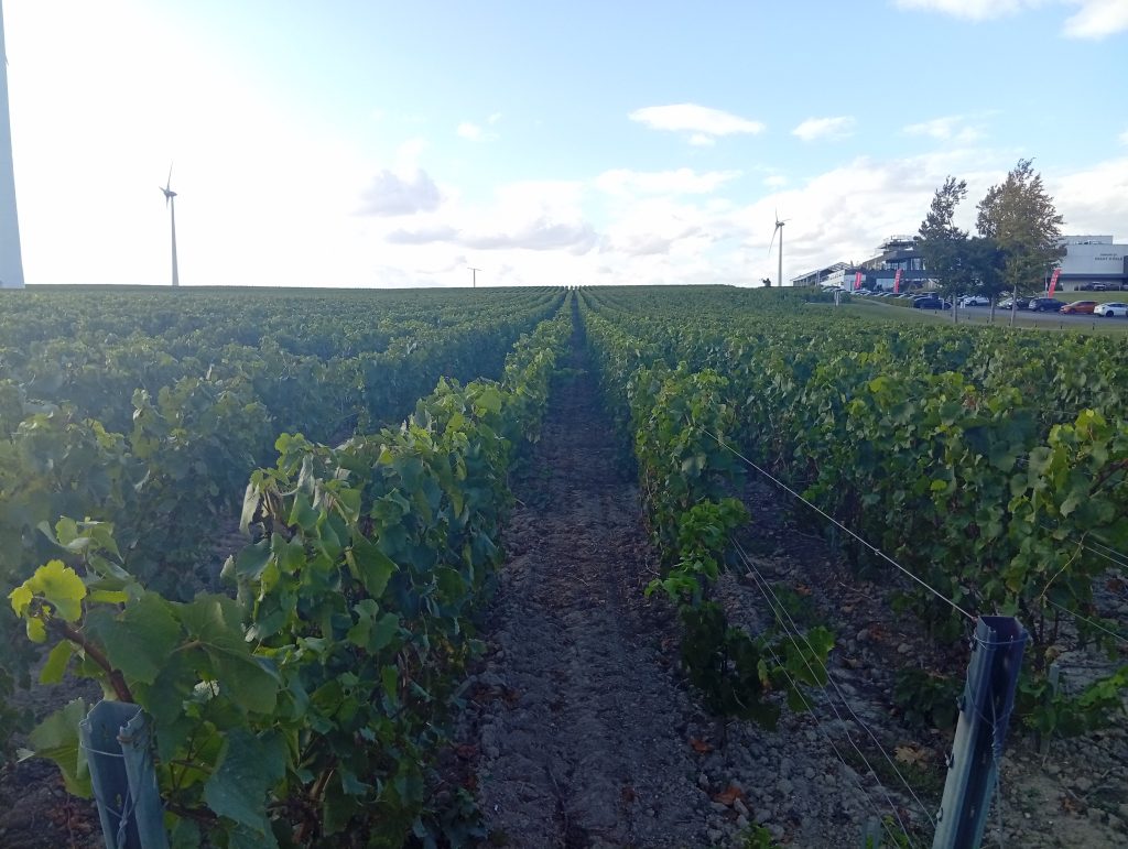VIGNOBLES BELGES
