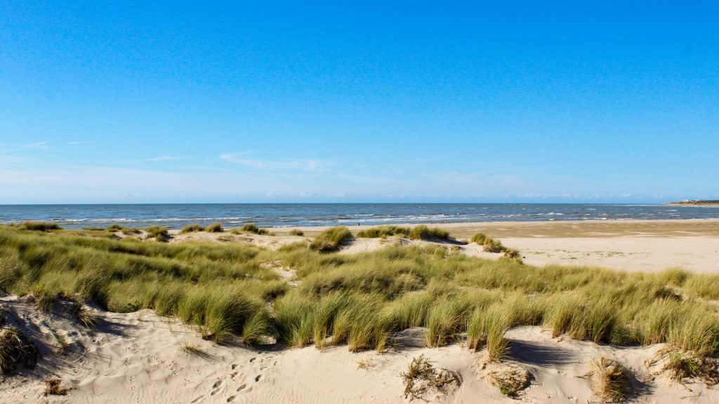dunes oyats mer le touquet