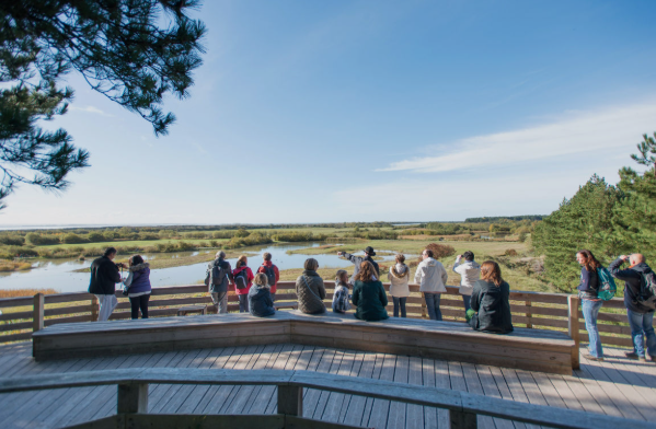 PARC ORNITHOLOGIQUE DU MARQUENTERRE