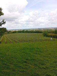 VIGNOBLES BELGES